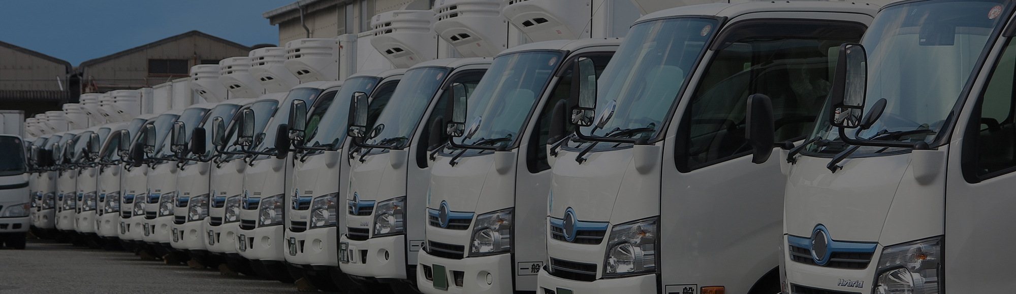 イエローカンパニー