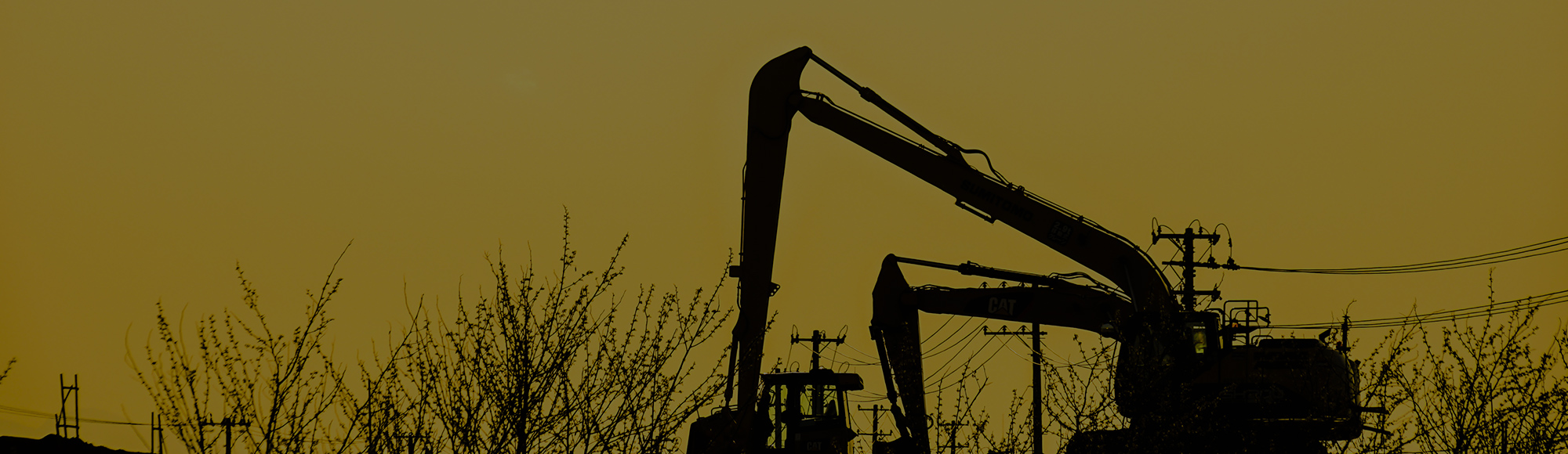 イエローカンパニー